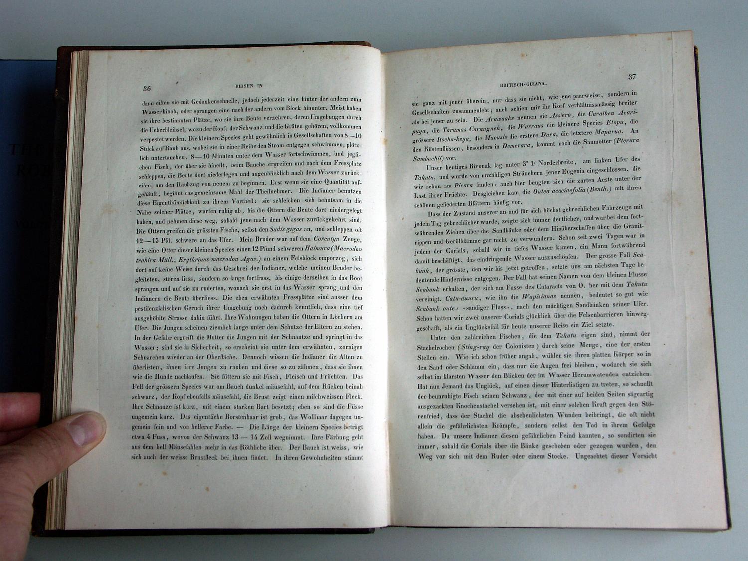 ZZ-RISC48,S.036 Arawak Kariben Taruma Macushi Warrau